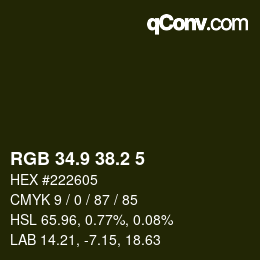 Color code: RGB 34.9 38.2 5 | qconv.com