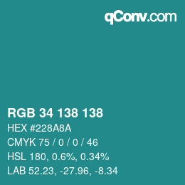 Color code: RGB 34 138 138 | qconv.com