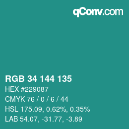 颜色代码: RGB 34 144 135 | qconv.com