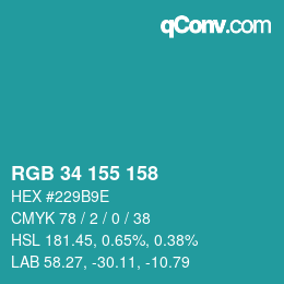 Color code: RGB 34 155 158 | qconv.com