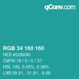Color code: RGB 34 160 160 | qconv.com