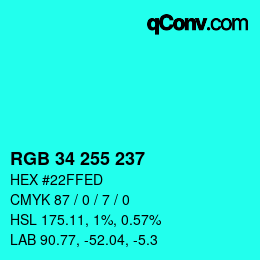 Color code: RGB 34 255 237 | qconv.com