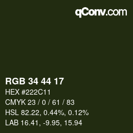 Color code: RGB 34 44 17 | qconv.com