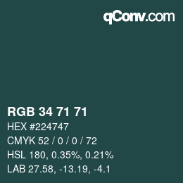カラーコード: RGB 34 71 71 | qconv.com