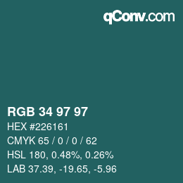 Color code: RGB 34 97 97 | qconv.com