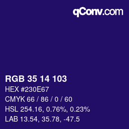 Color code: RGB 35 14 103 | qconv.com
