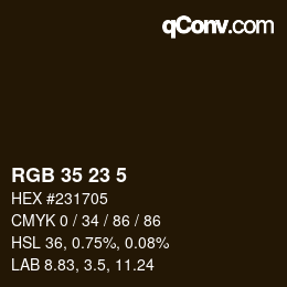 Color code: RGB 35 23 5 | qconv.com