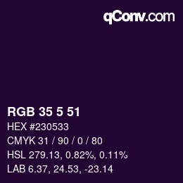 Color code: RGB 35 5 51 | qconv.com