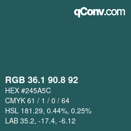 Color code: RGB 36.1 90.8 92 | qconv.com
