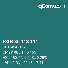 Color code: RGB 36 113 114 | qconv.com