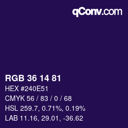 Color code: RGB 36 14 81 | qconv.com