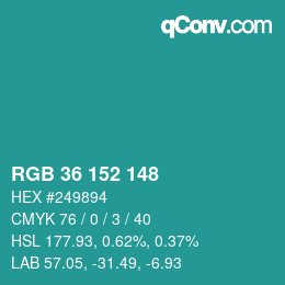 Color code: RGB 36 152 148 | qconv.com