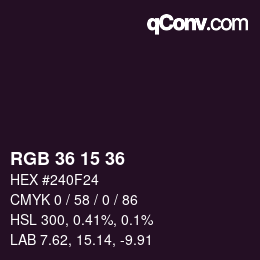 颜色代码: RGB 36 15 36 | qconv.com