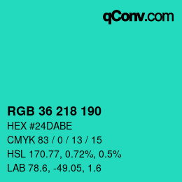 Código de color: RGB 36 218 190 | qconv.com