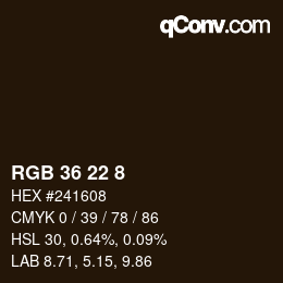 Color code: RGB 36 22 8 | qconv.com