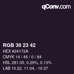 Color code: RGB 36 23 42 | qconv.com
