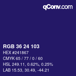 Color code: RGB 36 24 103 | qconv.com