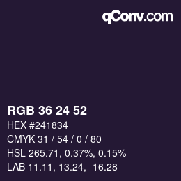 Color code: RGB 36 24 52 | qconv.com