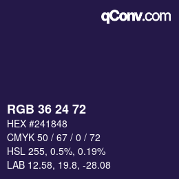 Color code: RGB 36 24 72 | qconv.com