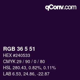 Color code: RGB 36 5 51 | qconv.com