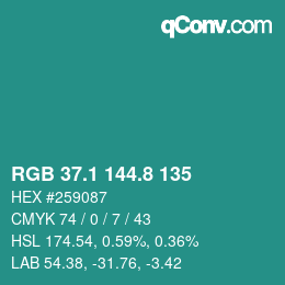 Color code: RGB 37.1 144.8 135 | qconv.com
