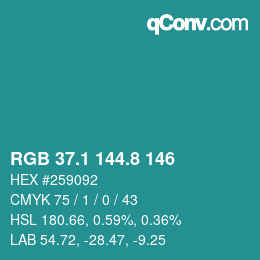 Color code: RGB 37.1 144.8 146 | qconv.com