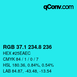 カラーコード: RGB 37.1 234.8 236 | qconv.com