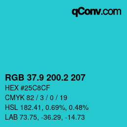 カラーコード: RGB 37.9 200.2 207 | qconv.com