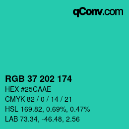 カラーコード: RGB 37 202 174 | qconv.com