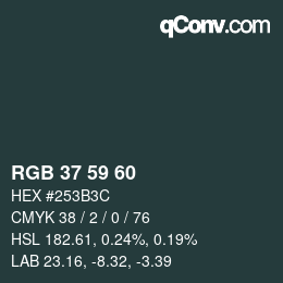 Color code: RGB 37 59 60 | qconv.com