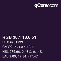 Color code: RGB 38.1 18.8 51 | qconv.com