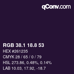 Color code: RGB 38.1 18.8 53 | qconv.com