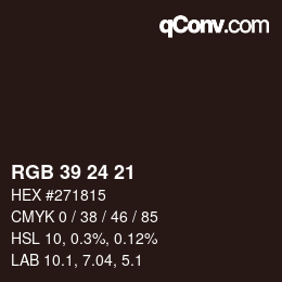 カラーコード: RGB 39 24 21 | qconv.com