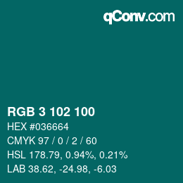 Color code: RGB 3 102 100 | qconv.com