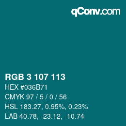 Color code: RGB 3 107 113 | qconv.com