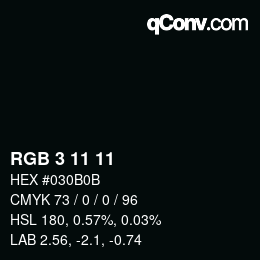 カラーコード: RGB 3 11 11 | qconv.com