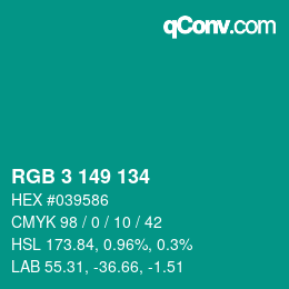 Color code: RGB 3 149 134 | qconv.com