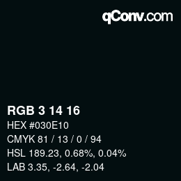カラーコード: RGB 3 14 16 | qconv.com