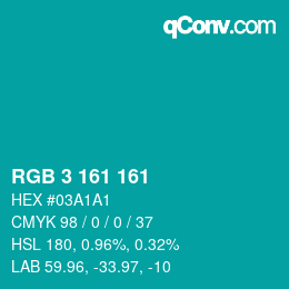 Color code: RGB 3 161 161 | qconv.com