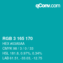 Color code: RGB 3 165 170 | qconv.com