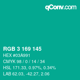 Color code: RGB 3 169 145 | qconv.com