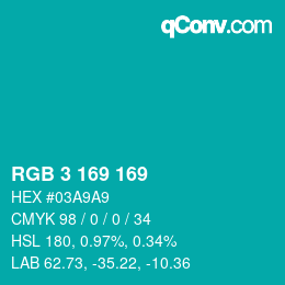 Color code: RGB 3 169 169 | qconv.com