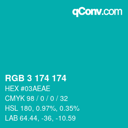 Color code: RGB 3 174 174 | qconv.com