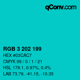 Color code: RGB 3 202 199 | qconv.com