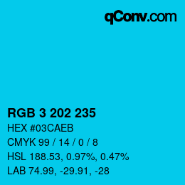 カラーコード: RGB 3 202 235 | qconv.com