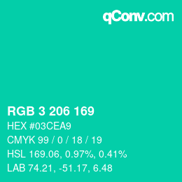 カラーコード: RGB 3 206 169 | qconv.com