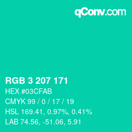 Color code: RGB 3 207 171 | qconv.com