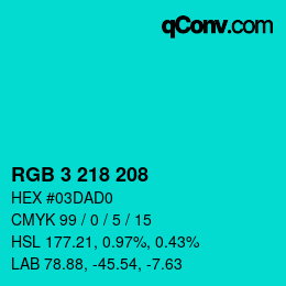 Color code: RGB 3 218 208 | qconv.com