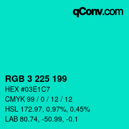 Color code: RGB 3 225 199 | qconv.com