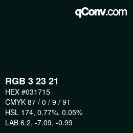 颜色代码: RGB 3 23 21 | qconv.com